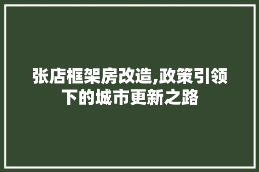 张店框架房改造,政策引领下的城市更新之路