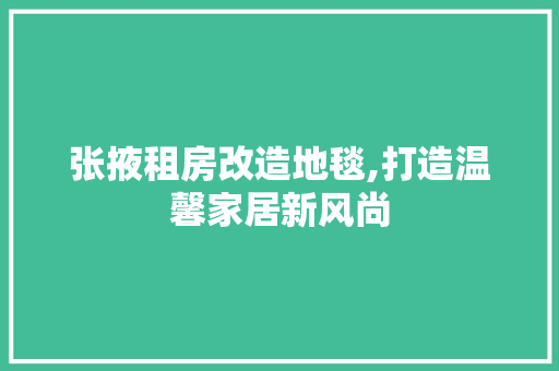 张掖租房改造地毯,打造温馨家居新风尚
