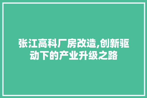 张江高科厂房改造,创新驱动下的产业升级之路