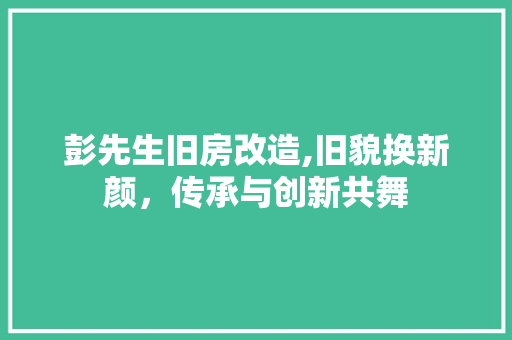 彭先生旧房改造,旧貌换新颜，传承与创新共舞