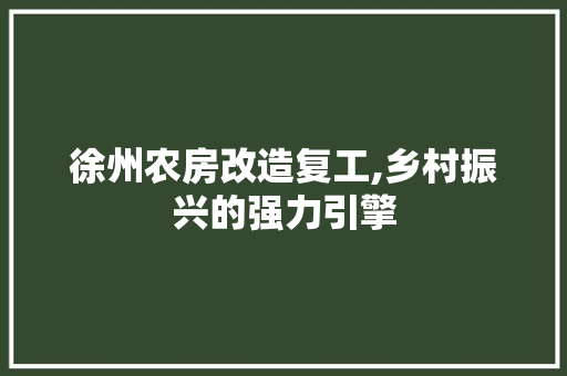 徐州农房改造复工,乡村振兴的强力引擎