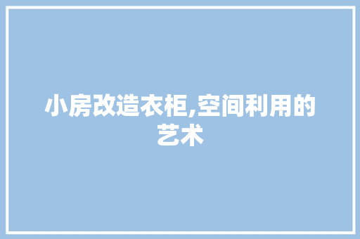 小房改造衣柜,空间利用的艺术