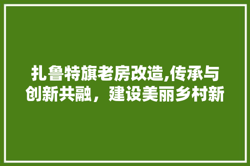 扎鲁特旗老房改造,传承与创新共融，建设美丽乡村新篇章