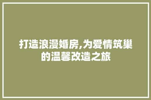 打造浪漫婚房,为爱情筑巢的温馨改造之旅