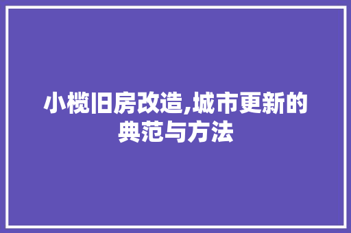 小榄旧房改造,城市更新的典范与方法