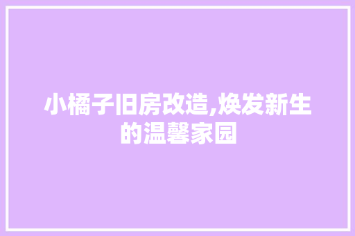 小橘子旧房改造,焕发新生的温馨家园