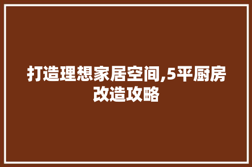 打造理想家居空间,5平厨房改造攻略