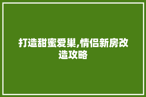 打造甜蜜爱巢,情侣新房改造攻略