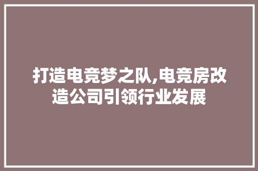 打造电竞梦之队,电竞房改造公司引领行业发展
