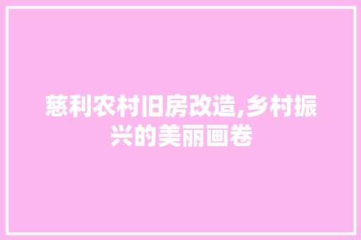慈利农村旧房改造,乡村振兴的美丽画卷