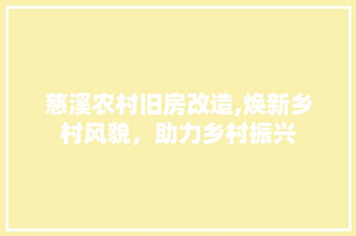 慈溪农村旧房改造,焕新乡村风貌，助力乡村振兴
