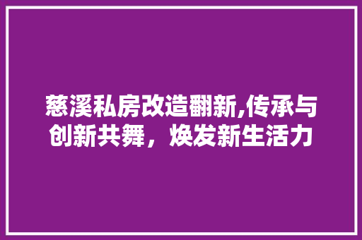 慈溪私房改造翻新,传承与创新共舞，焕发新生活力