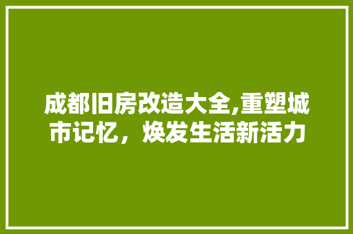 成都旧房改造大全,重塑城市记忆，焕发生活新活力