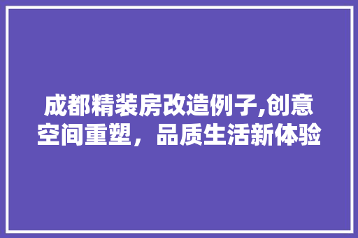 成都精装房改造例子,创意空间重塑，品质生活新体验