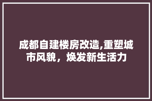 成都自建楼房改造,重塑城市风貌，焕发新生活力