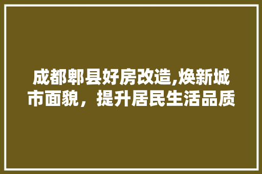 成都郫县好房改造,焕新城市面貌，提升居民生活品质
