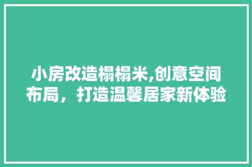 小房改造榻榻米,创意空间布局，打造温馨居家新体验