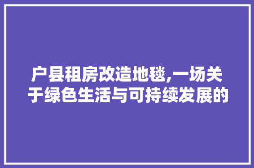 户县租房改造地毯,一场关于绿色生活与可持续发展的创新方法