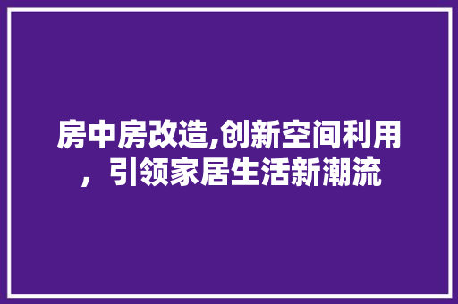 房中房改造,创新空间利用，引领家居生活新潮流