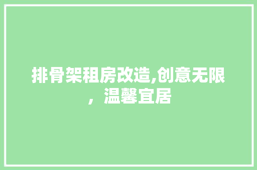 排骨架租房改造,创意无限，温馨宜居