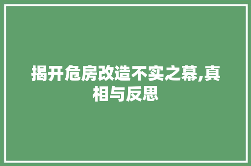 揭开危房改造不实之幕,真相与反思