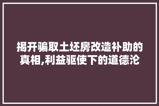 揭开骗取土坯房改造补助的真相,利益驱使下的道德沦丧