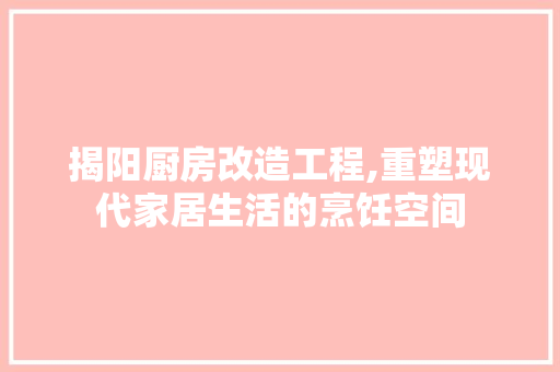 揭阳厨房改造工程,重塑现代家居生活的烹饪空间