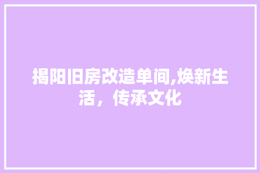 揭阳旧房改造单间,焕新生活，传承文化