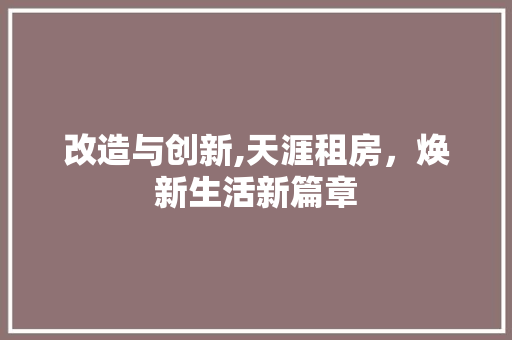 改造与创新,天涯租房，焕新生活新篇章