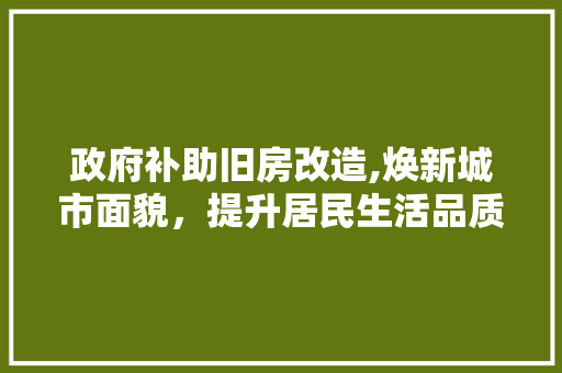 政府补助旧房改造,焕新城市面貌，提升居民生活品质