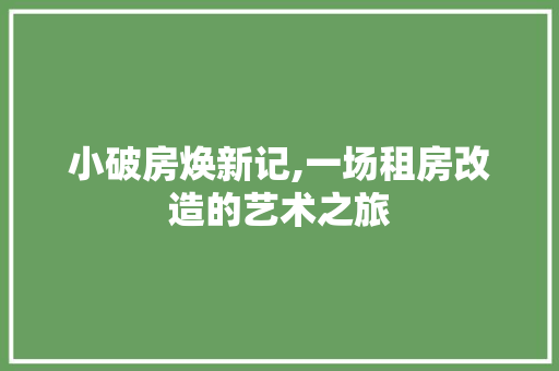 小破房焕新记,一场租房改造的艺术之旅