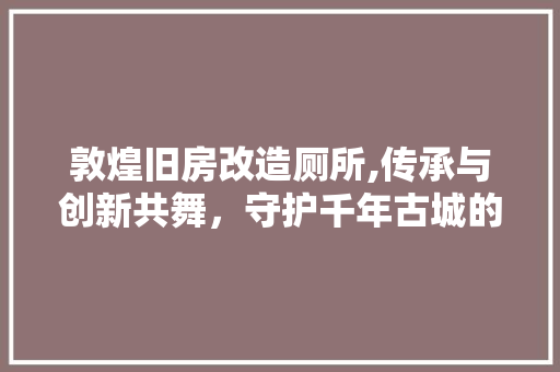 敦煌旧房改造厕所,传承与创新共舞，守护千年古城的文明之光