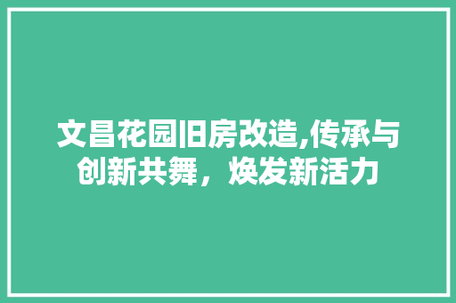 文昌花园旧房改造,传承与创新共舞，焕发新活力