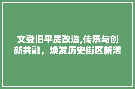 文登旧平房改造,传承与创新共融，焕发历史街区新活力