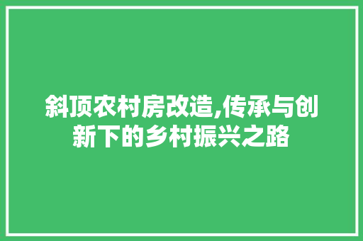 斜顶农村房改造,传承与创新下的乡村振兴之路