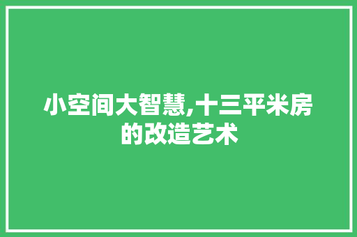 小空间大智慧,十三平米房的改造艺术