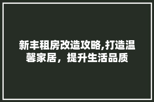 新丰租房改造攻略,打造温馨家居，提升生活品质