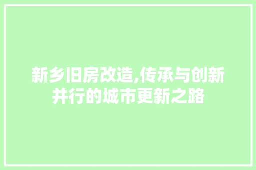 新乡旧房改造,传承与创新并行的城市更新之路