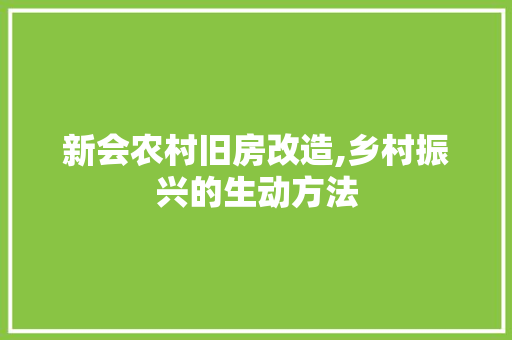 新会农村旧房改造,乡村振兴的生动方法