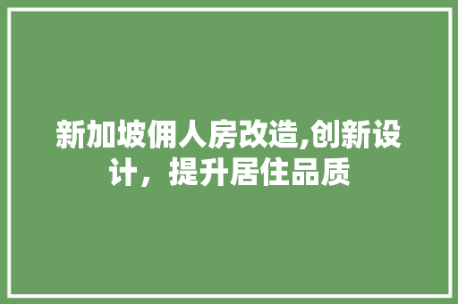 新加坡佣人房改造,创新设计，提升居住品质