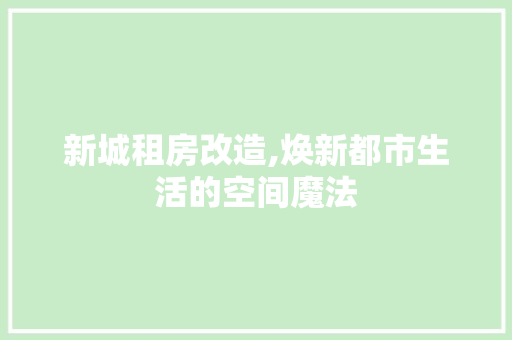 新城租房改造,焕新都市生活的空间魔法
