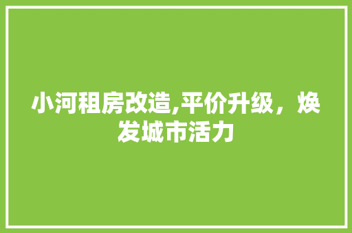 小河租房改造,平价升级，焕发城市活力