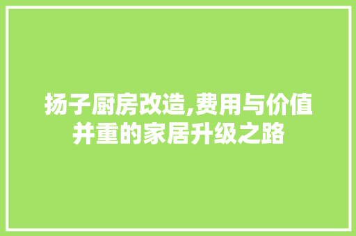 扬子厨房改造,费用与价值并重的家居升级之路