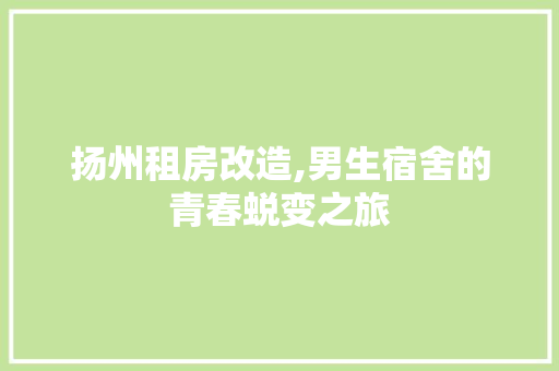 扬州租房改造,男生宿舍的青春蜕变之旅