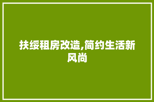扶绥租房改造,简约生活新风尚