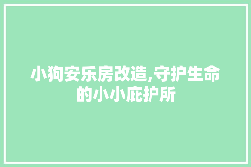 小狗安乐房改造,守护生命的小小庇护所