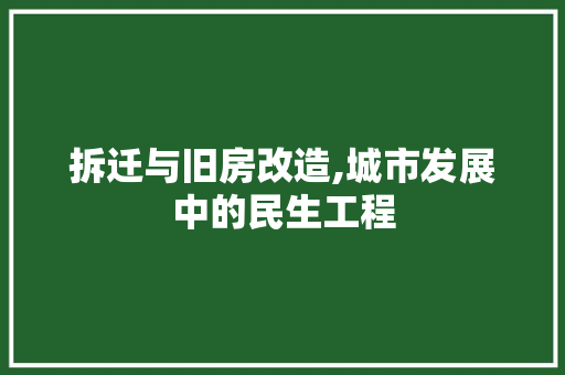 拆迁与旧房改造,城市发展中的民生工程