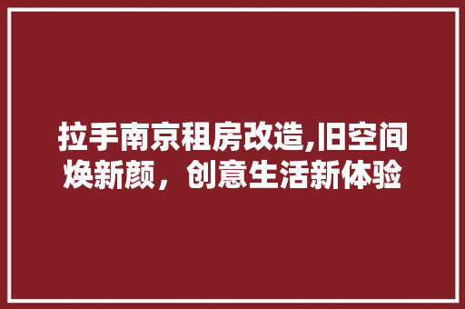 拉手南京租房改造,旧空间焕新颜，创意生活新体验