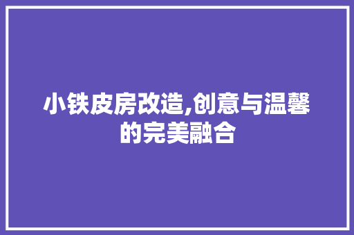小铁皮房改造,创意与温馨的完美融合
