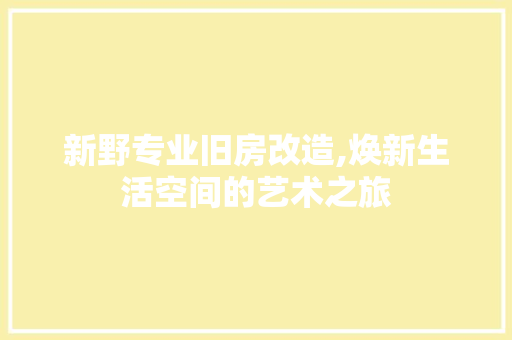 新野专业旧房改造,焕新生活空间的艺术之旅